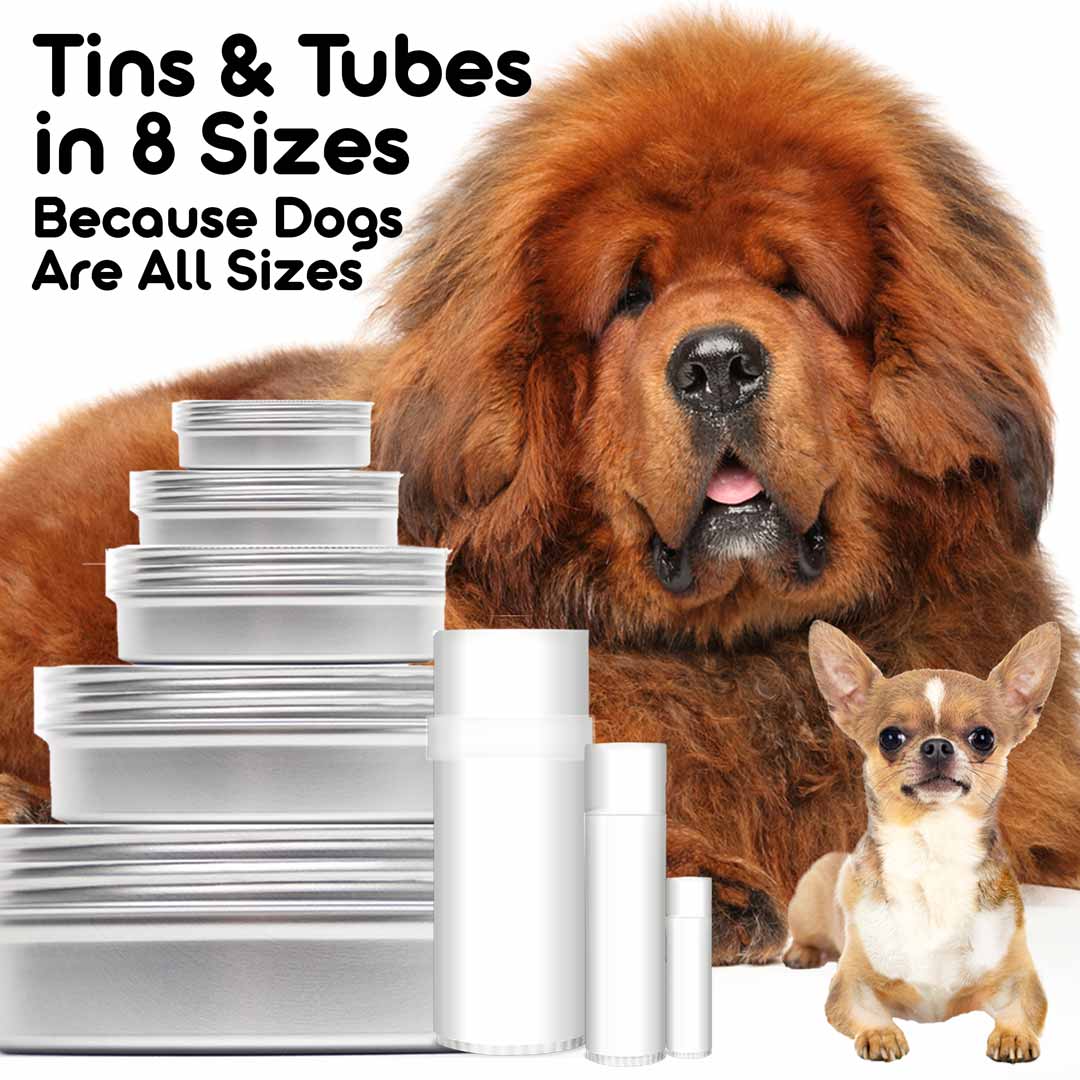 Tibetan mastiff & chihuahua